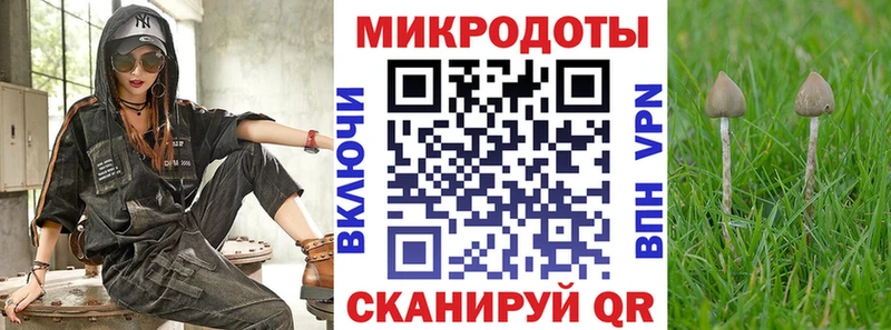 Галлюциногенные грибы мицелий  mega как зайти  Большой Камень 